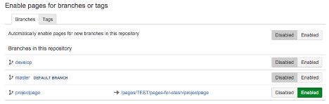 Enable pages for branches or tags