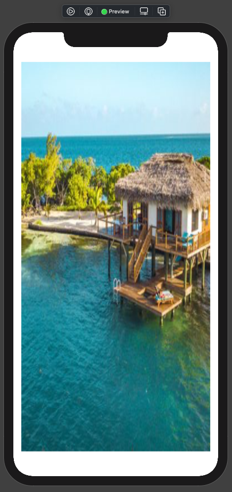 SwiftUI Preview of the image using the .resizable() modifier. The image was resized to the size of its container; in this case, the entire height and width of the iPhone, resulting in the image being skewed and not retaining its aspect ratio.