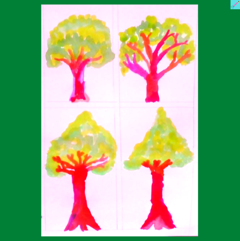 Four differnt types of trees in watercolor