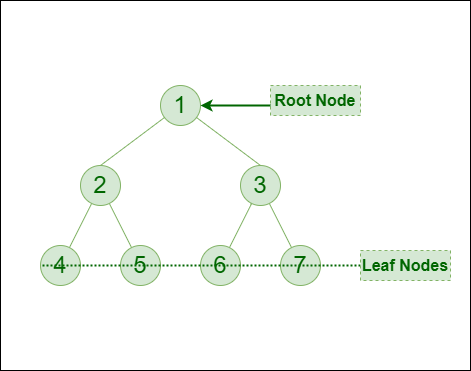 binary tree nodes and leafs