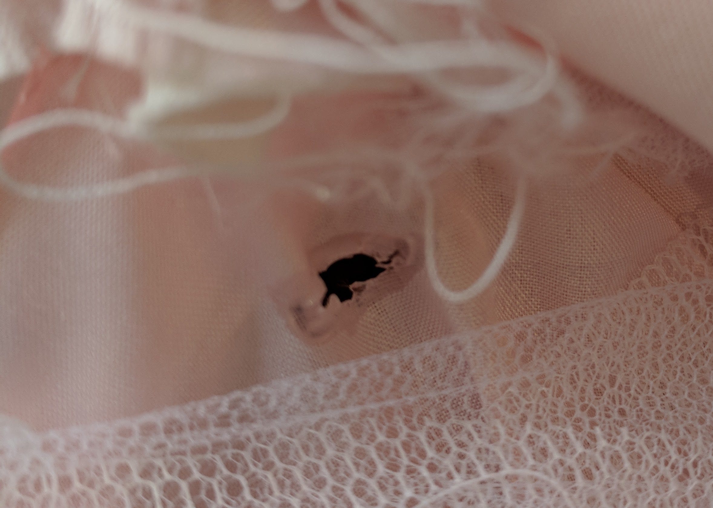 Just cutting a hole in my wedding dress, don’t mind me!