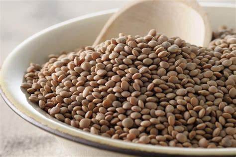 Lentils-High-Protein-foods