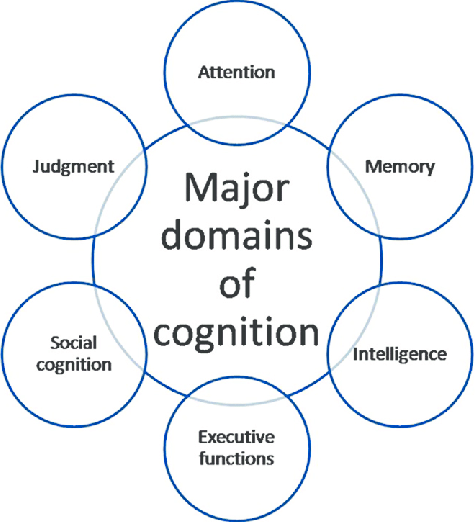 A chart with a larger circle in the center that says “Major domains of cognition”. Six smaller circles surround the larger one and are connected, each of them has one of the following text: Judgment. Social cognition. Executive function. Intelligence. Memory. Attention.