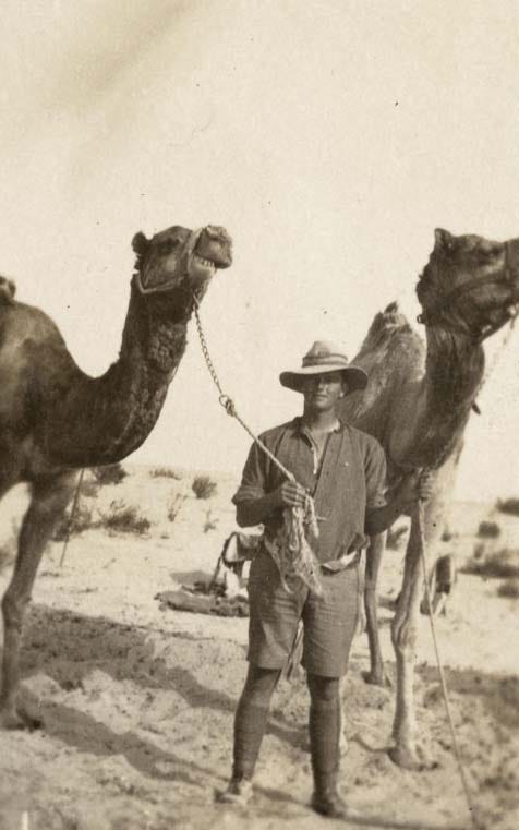 A New Zealand camelier poses for the camera with two camels, Sinai, date unknown.