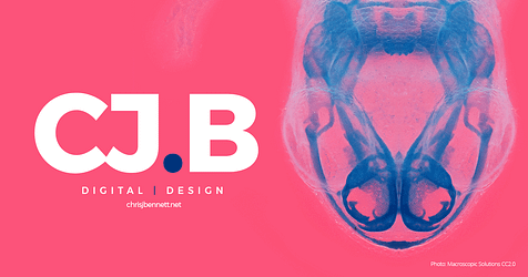 I’m an award-winning digital and design specialist working in the science, tech, and charity sectors.