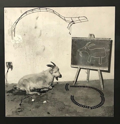 Photograph of goat next to a wall and chalkboard with a goat doodle.
