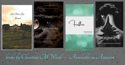 Now Available! Check out any of the author’s 4 published titles on Amazon.