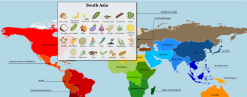 Interactive map of the origins of some of the agricultural produce of the world. Click on the image to go to the interactive map. (Source: CIAT/CGIAR)