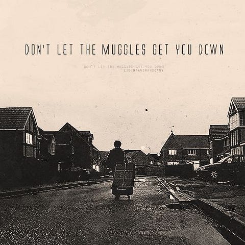 harry potter don't let the muggles get you down