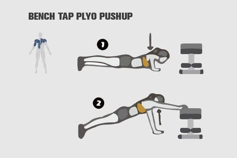 Bench Tap Plyo Pushup