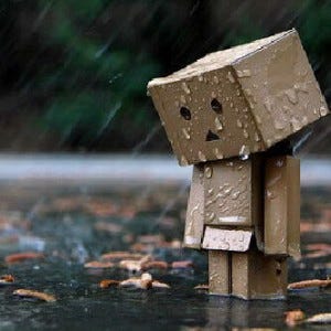 danbo kecewa