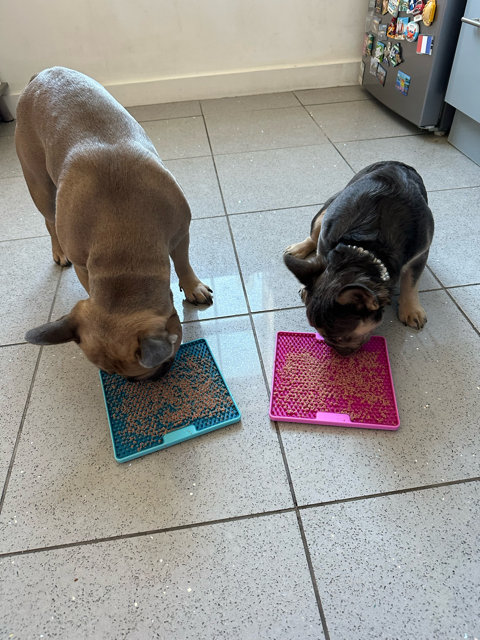 LickiMat Soother Tuff Pro - Louis & Dolcie - Top Frenchie