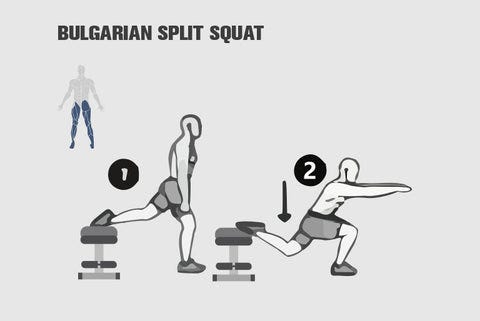 Bulgarian Split Squat