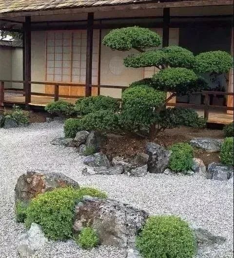 Canopy in Japanese Zen Garden