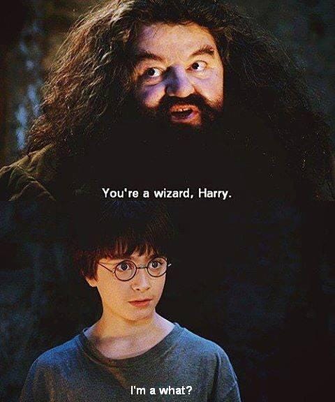 A meme from harry potter, where Hagrid says to Harry that he’s a wizard. And Harry replies, “I’m a what?”