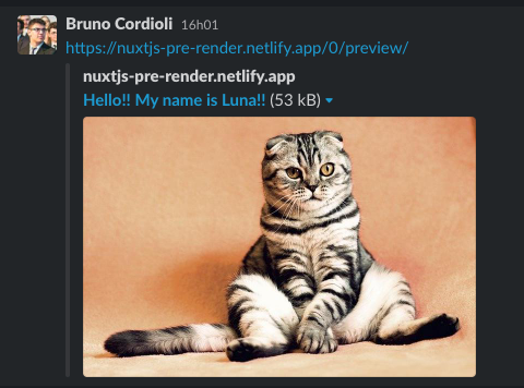 An image of how it looks if the link of the website is shared on Slack, in which, after shared appears a the cat of the page and the text saying — "Hello!! My name is Luna!!"