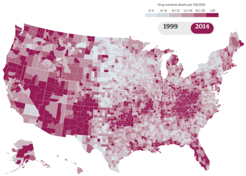 Drug overdose deaths per 100,000 population, by county, USA. Click on the image to go to the interactive map. (Source: http://bit.ly/2c1E3ws)