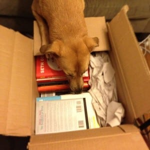 A dog and his books