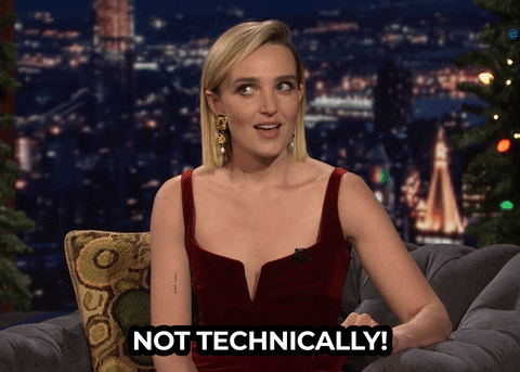 A gif of a woman at a talkshow saying “Not technically!”.
