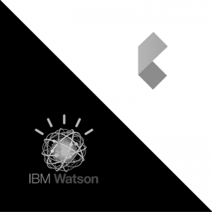 iBillionaire joins forces with IBM Watson