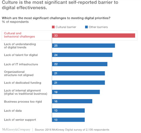 Digital-culture