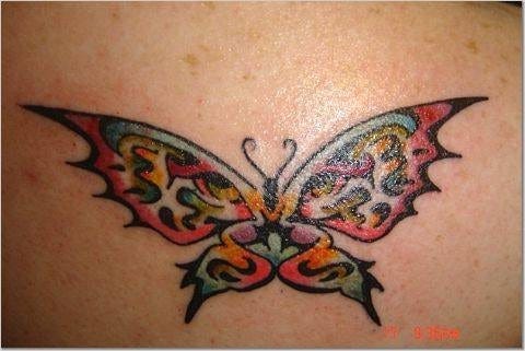 Butterfly Tattoo 1091