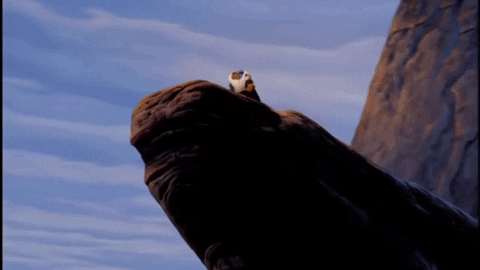 GIF of Rafiki throwing Simba over a cliff