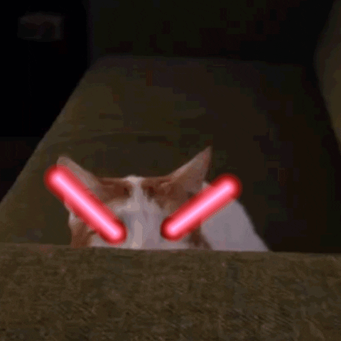 Cat shooting lasers from eyes.