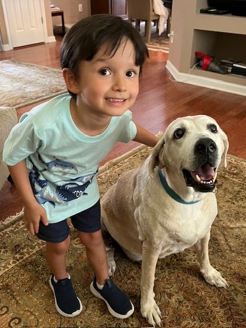 A young boy with a dog