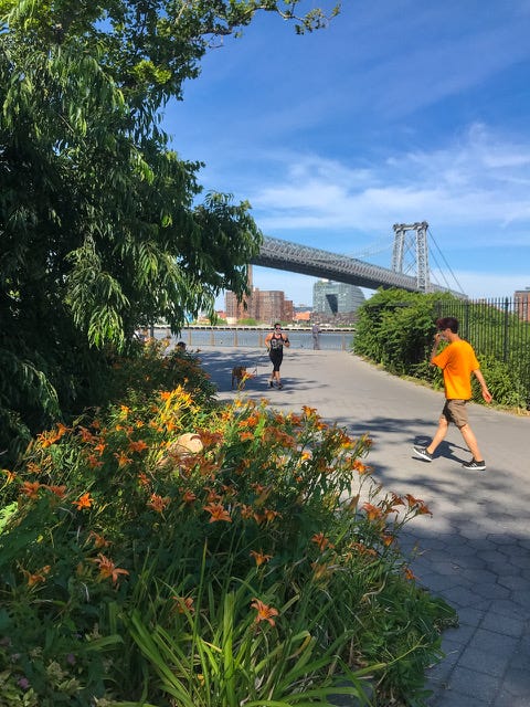 The 1.2 mile promenade on either side of the base of the Williamsburg Bridge was much used. This section has been razed as of December 2021..