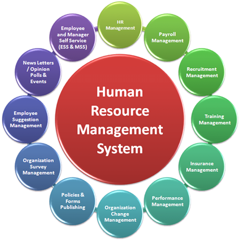 How Human Resource Technology Solutions Can Benefit a Business