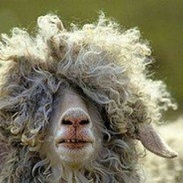 Bad Hair Day. It's rainy and humid today… | by Bonnie Blaylock | The  Coffeelicious | Medium