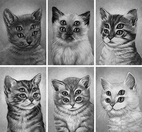 A picture of 6 cats all with four eyes.