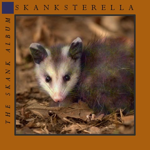 Skanksterella’s second album: The Skank Album