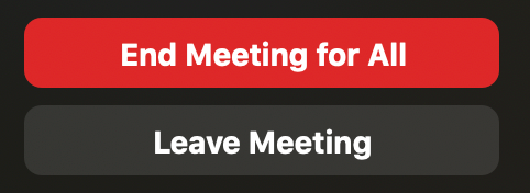 A red button with white writing saying “end meeting for all” in bold type