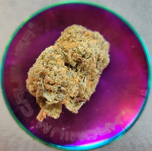 A cannabis bud