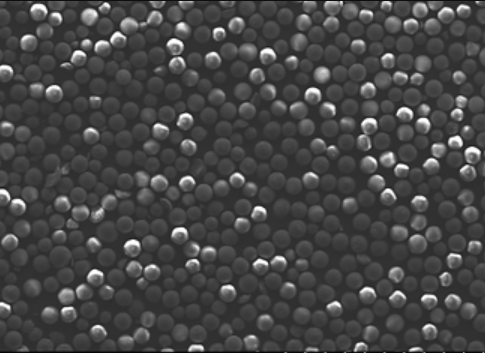 Non-Functionalized Silica Nanoparticles 1�M