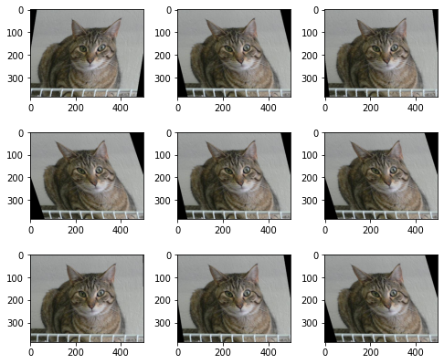 Hasil kode augmentasi data citra kucing yang telah dilakukan random affine translate