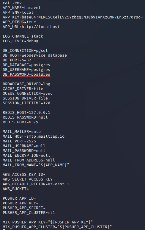 We check what environment variables Laravel is running by using the “cat .env” command.