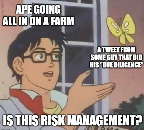 An ape that put all his money in a farm thinking he managed his risk by looking at a tweet from a guy that did his “due diligence” on a farm.