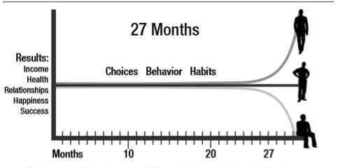 Figure 1*