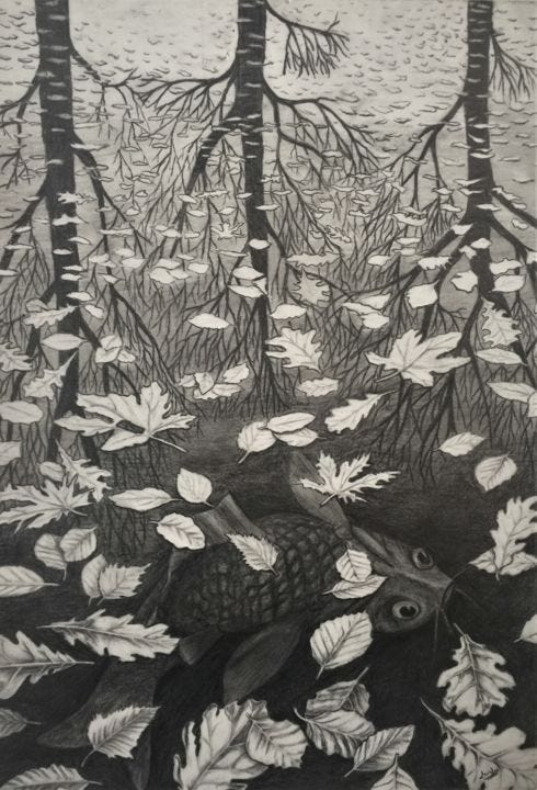 MC Escher: Three Worlds