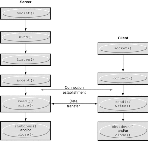 This graphic depicts data flow between a client and a server, using the accept/connect and read/write function pairs.