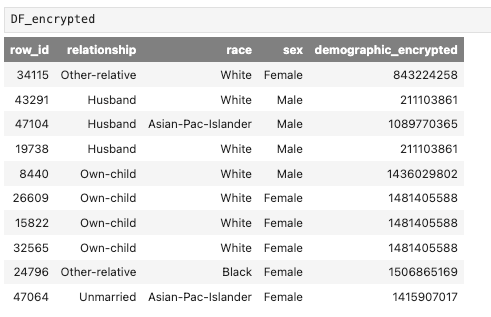 A screenshot showing a section of a dataframe named ‘DF_encrypted’. The dataframe is displayed in tabular form with five columns and eight rows. The columns are labeled ‘row_id’, ‘relationship’, ‘race’, ‘sex’, and ‘demographic_encrypted’.