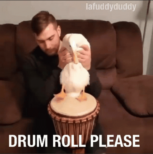 GIF of duck tapping a drum with its feet with the text “Drum Roll Please” at the bottom