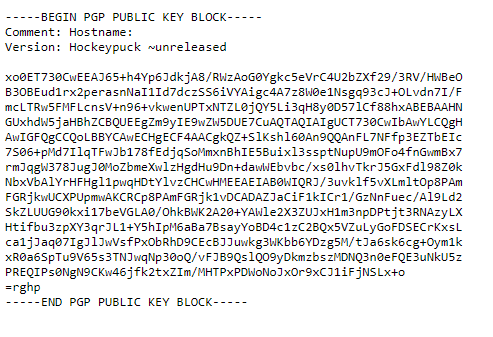Image shows generated PGP Key Block
