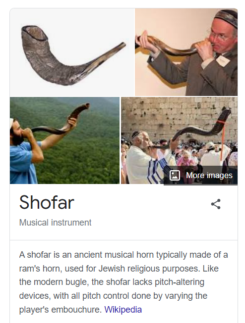 4 pictures of various shofar. Text: A shofar is an ancient muscial horn typically made of a ram’s horn, used for Jewish religious purposes. Like the modern bugle, the shofar lacks pitch-altering devices, with all pitch control done by varying the player’s embouchure. Wikipedia.