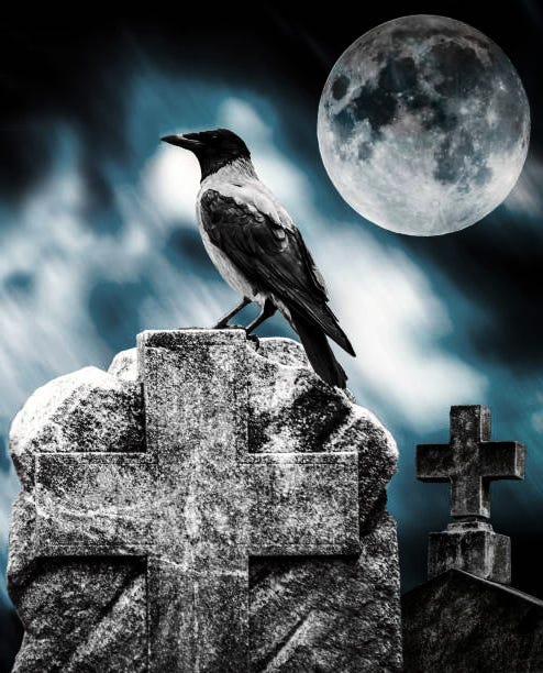 A raven is sitting in some graveyard under a full-moon night with a bluish background.