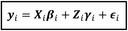 The general form of the linear model for country i (Image by Author)