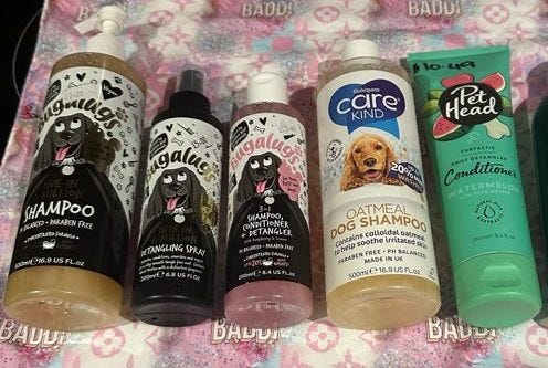 Recommended French Bulldog Shampoos - Top Frenchie